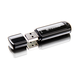 Picture for category Transcend USB Sticks